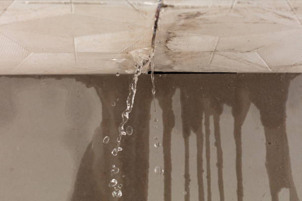 Professional Structural Drying technician working in West Ossipee, NH